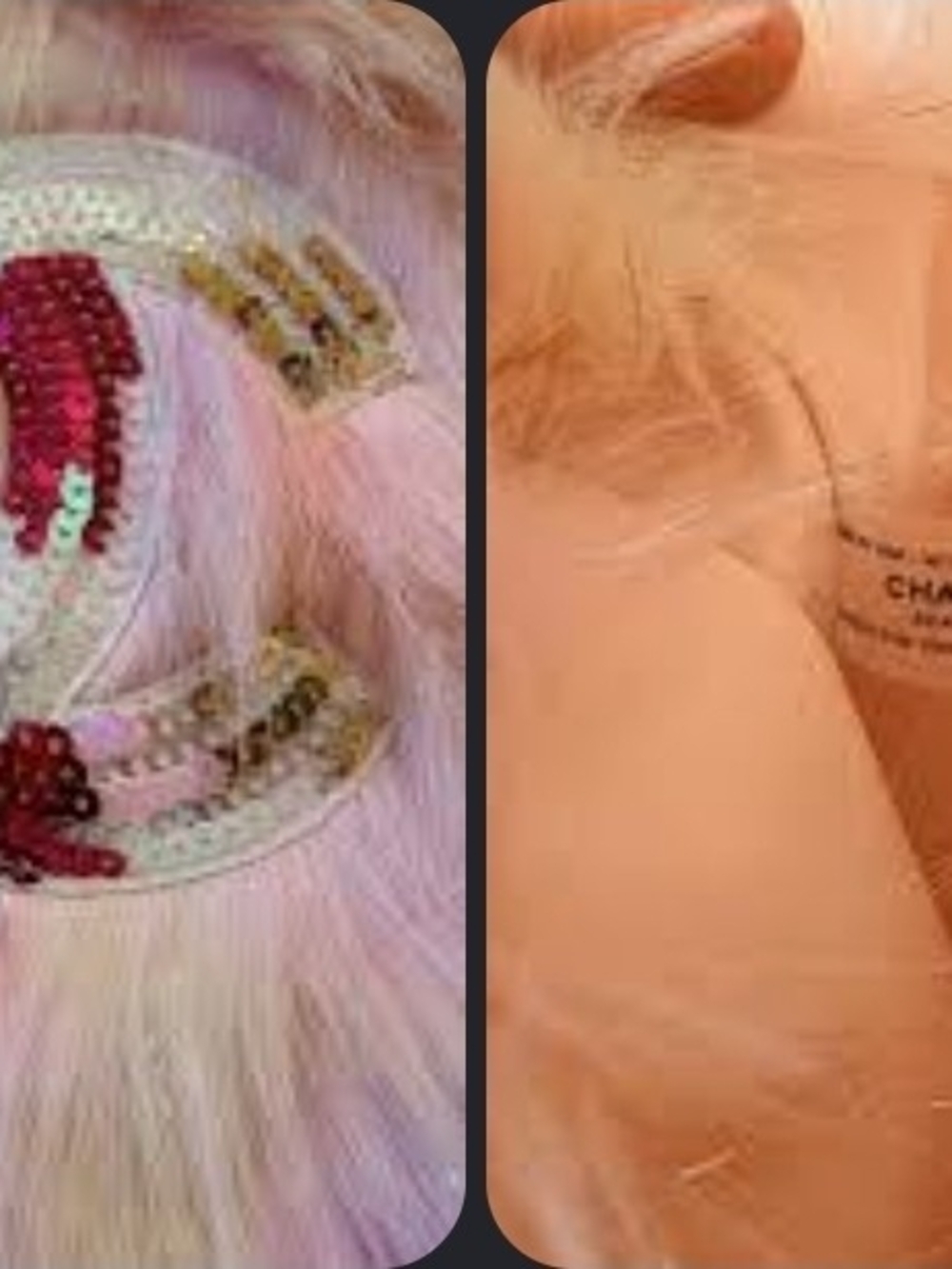 Viral Beauty Gift with Purchase (GWP) novelty bag - Picture 4 of 4
